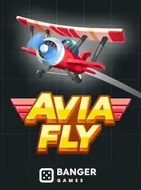 Avia Fly crash at CEO BDT COM