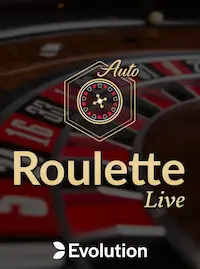Roulette Live at CEO BDT COM
